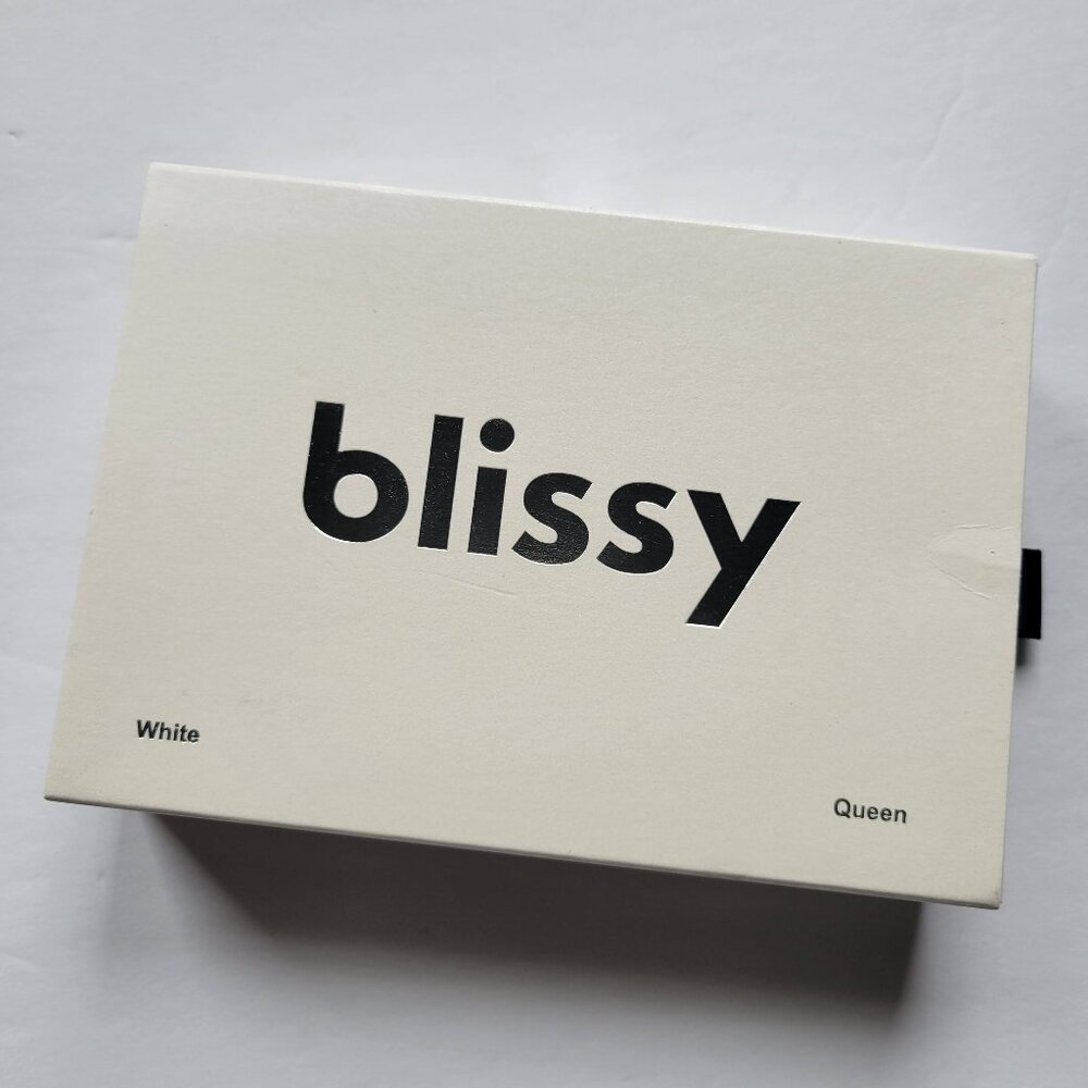 NWT Blissy 100% Silk Queen Pillowcase in White